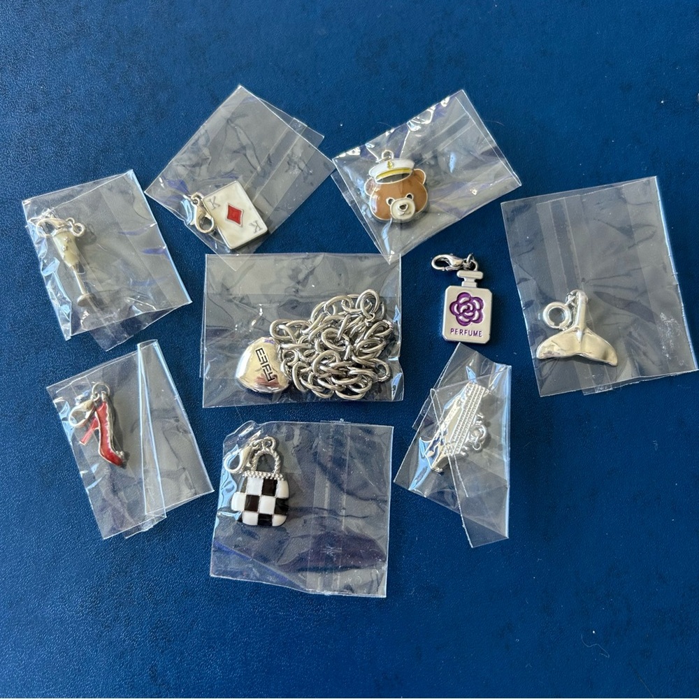 Assorted Silver Charms Bracelet Kit Collection